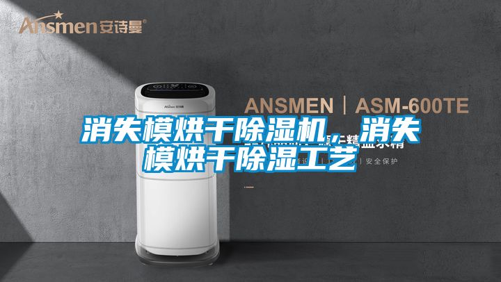消失模烘干除濕機，消失模烘干除濕工藝