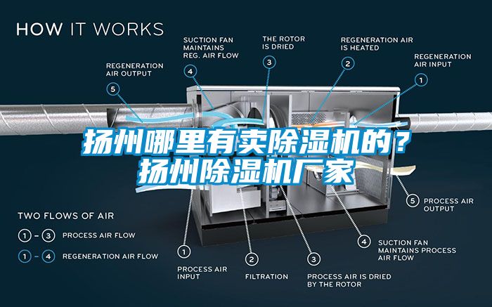 揚(yáng)州哪里有賣除濕機(jī)的？揚(yáng)州除濕機(jī)廠家