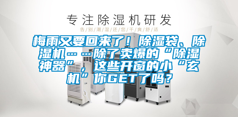 梅雨又要回來了！除濕袋、除濕機……除了賣爆的“除濕神器”，這些開窗的小“玄機”你GET了嗎？