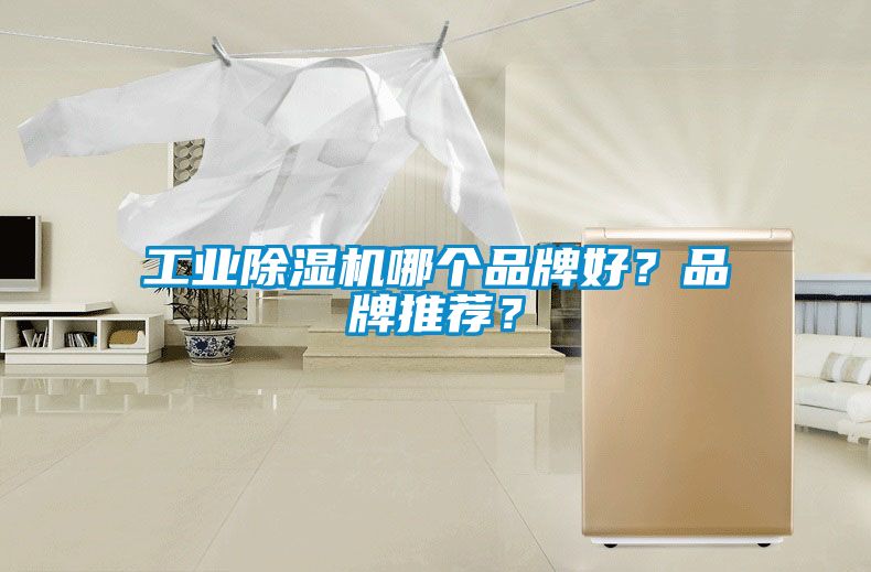工業(yè)除濕機哪個品牌好？品牌推薦？