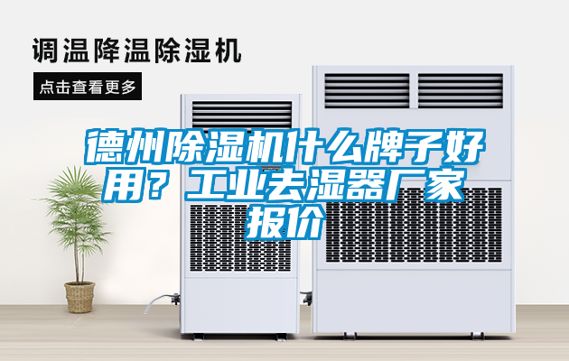 德州除濕機(jī)什么牌子好用？工業(yè)去濕器廠家報(bào)價
