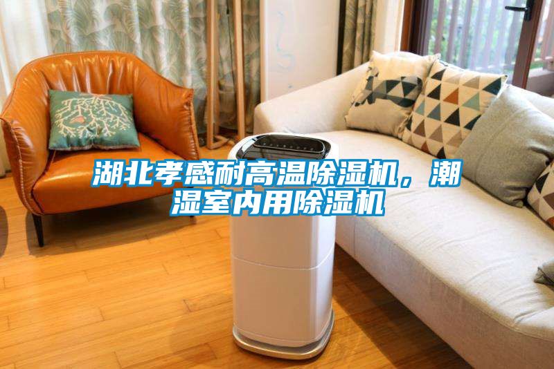 湖北孝感耐高溫除濕機(jī)，潮濕室內(nèi)用除濕機(jī)
