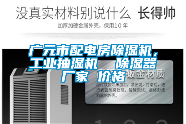 廣元市配電房除濕機(jī)，工業(yè)抽濕機(jī)  除濕器廠家 價格
