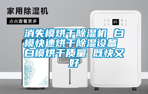 消失模烘干除濕機 白?？焖俸娓沙凉裨O備 白模烘干質(zhì)量 既快又好