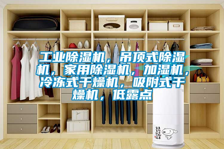 工業(yè)除濕機(jī)，吊頂式除濕機(jī)，家用除濕機(jī)，加濕機(jī)，冷凍式干燥機(jī)，吸附式干燥機(jī)，低露點(diǎn)
