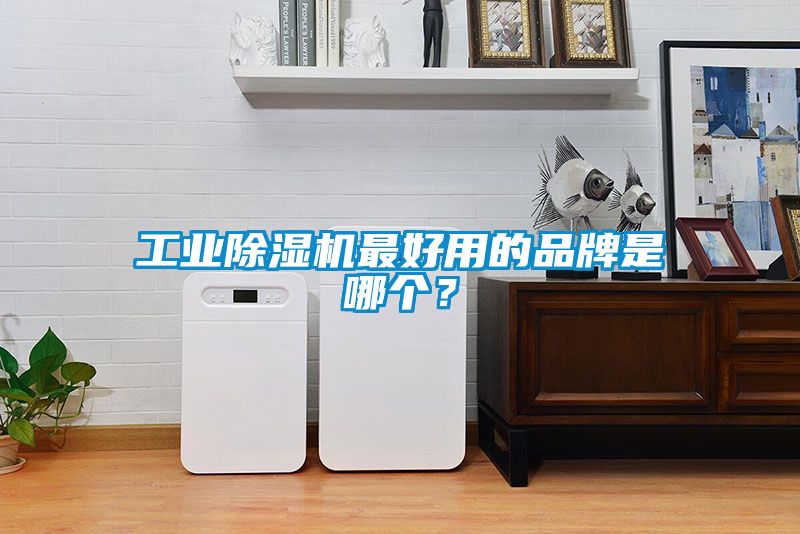 工業(yè)除濕機(jī)最好用的品牌是哪個？