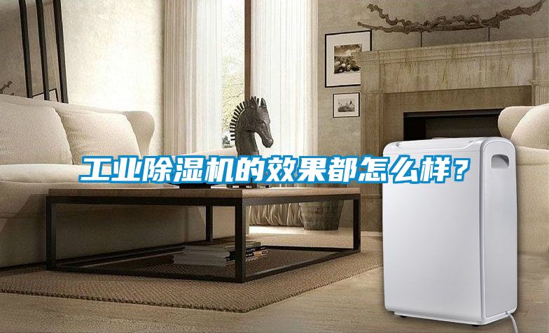 工業(yè)除濕機(jī)的效果都怎么樣？