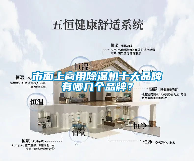 市面上商用除濕機(jī)十大品牌有哪幾個品牌？