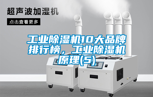 工業(yè)除濕機10大品牌排行榜，工業(yè)除濕機原理(5)