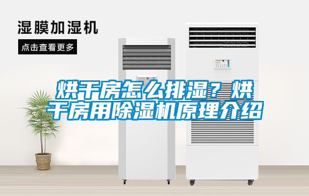 烘干房怎么排濕？烘干房用除濕機(jī)原理介紹