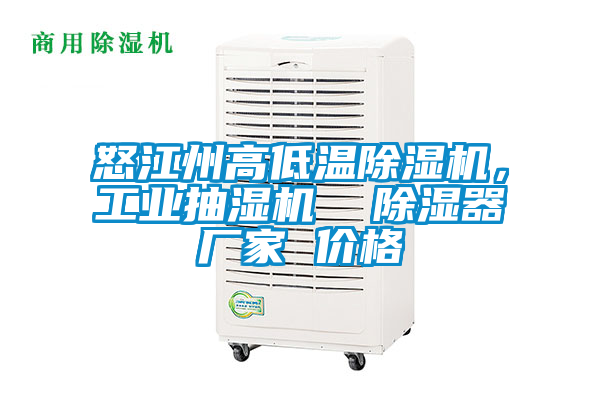 怒江州高低溫除濕機(jī)，工業(yè)抽濕機(jī)  除濕器廠家 價(jià)格