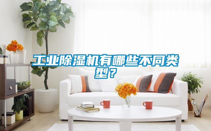 工業(yè)除濕機(jī)有哪些不同類型？