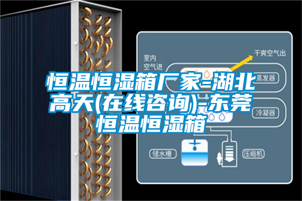 恒溫恒濕箱廠家-湖北高天(在線咨詢(xún))-東莞恒溫恒濕箱