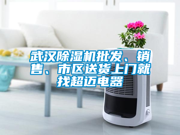 武漢除濕機(jī)批發(fā)、銷(xiāo)售、市區(qū)送貨上門(mén)就找超邁電器