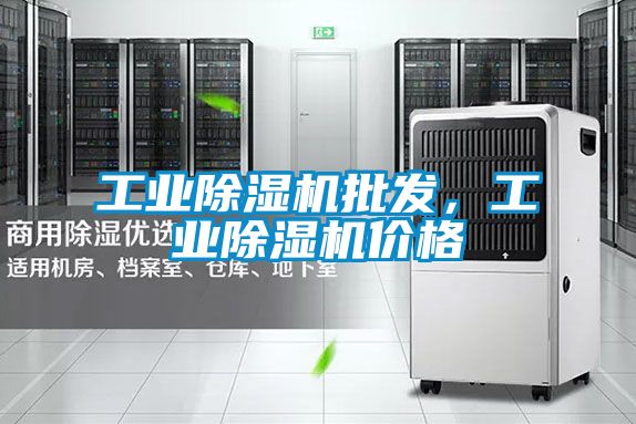 工業(yè)除濕機(jī)批發(fā)，工業(yè)除濕機(jī)價格