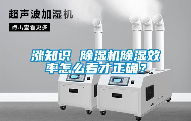漲知識 除濕機除濕效率怎么看才正確？