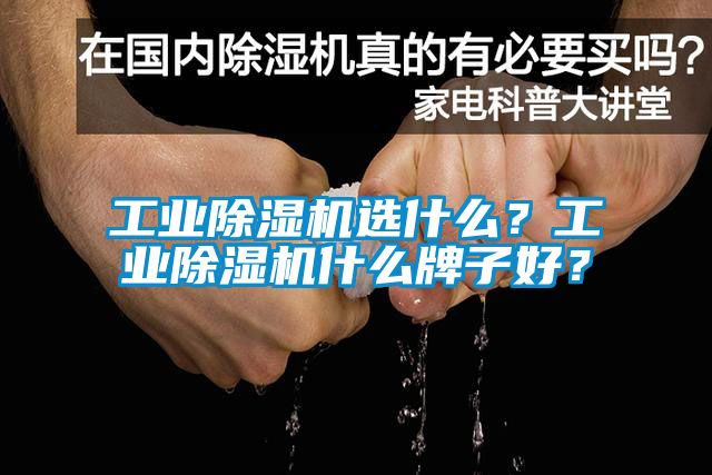 工業(yè)除濕機(jī)選什么？工業(yè)除濕機(jī)什么牌子好？