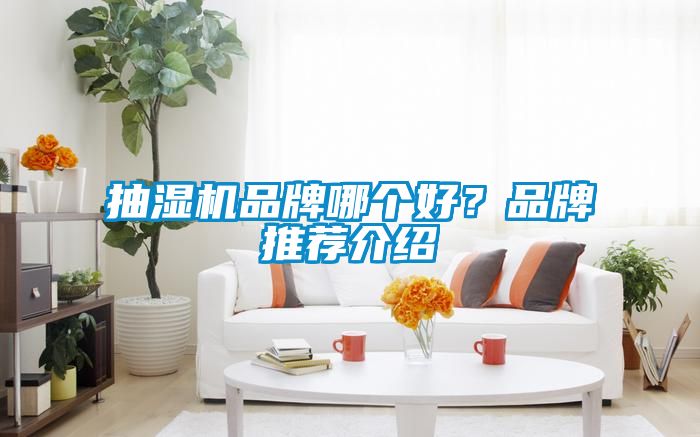 抽濕機(jī)品牌哪個(gè)好？品牌推薦介紹