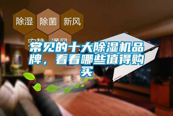 常見的十大除濕機(jī)品牌，看看哪些值得購買