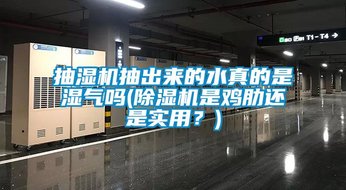 抽濕機抽出來的水真的是濕氣嗎(除濕機是雞肋還是實用？)