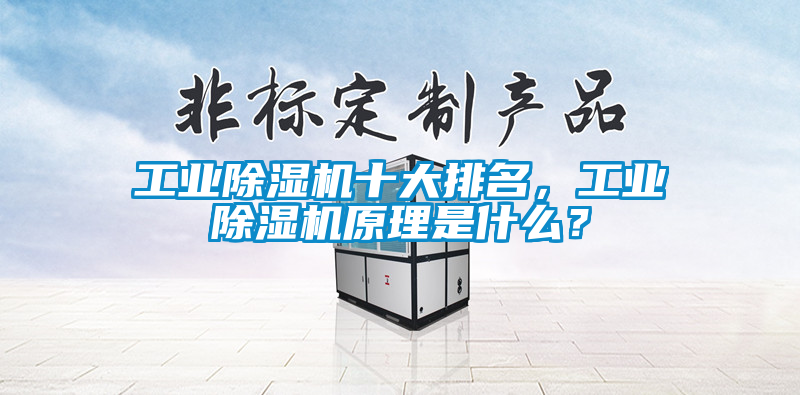 工業(yè)除濕機(jī)十大排名，工業(yè)除濕機(jī)原理是什么？