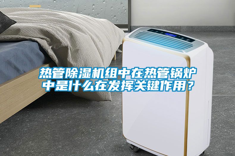 熱管除濕機組中在熱管鍋爐中是什么在發(fā)揮關鍵作用？