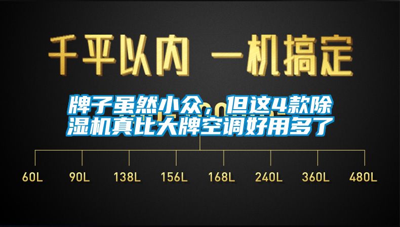 牌子雖然小眾，但這4款除濕機(jī)真比大牌空調(diào)好用多了
