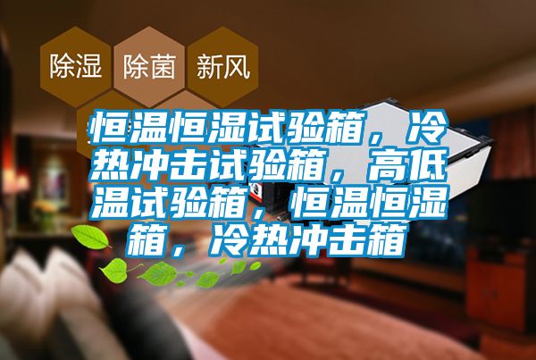恒溫恒濕試驗箱，冷熱沖擊試驗箱，高低溫試驗箱，恒溫恒濕箱，冷熱沖擊箱