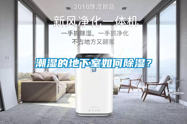 潮濕的地下室如何除濕？