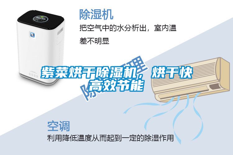 紫菜烘干除濕機(jī)，烘干快高效節(jié)能