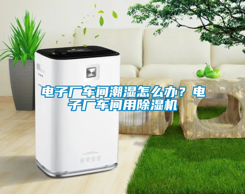 電子廠車間潮濕怎么辦？電子廠車間用除濕機