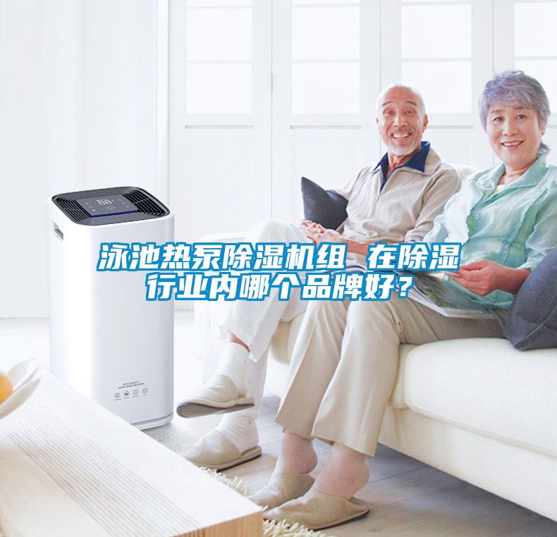 泳池?zé)岜贸凉駲C(jī)組 在除濕行業(yè)內(nèi)哪個(gè)品牌好？