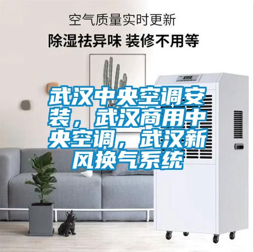 武漢中央空調(diào)安裝，武漢商用中央空調(diào)，武漢新風換氣系統(tǒng)