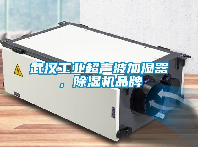武漢工業(yè)超聲波加濕器，除濕機(jī)品牌