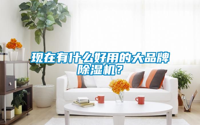 現(xiàn)在有什么好用的大品牌除濕機？