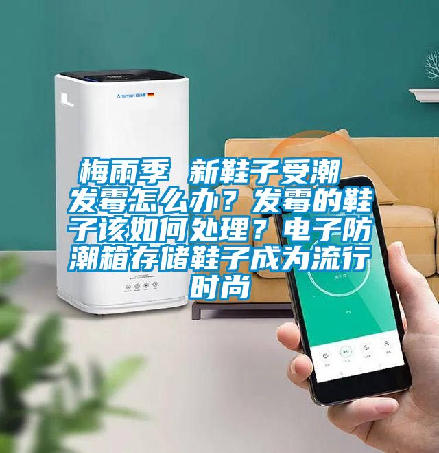 梅雨季 新鞋子受潮 發(fā)霉怎么辦？發(fā)霉的鞋子該如何處理？電子防潮箱存儲(chǔ)鞋子成為流行時(shí)尚