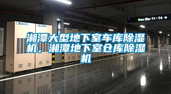 湘潭大型地下室車(chē)庫(kù)除濕機(jī)，湘潭地下室倉(cāng)庫(kù)除濕機(jī)