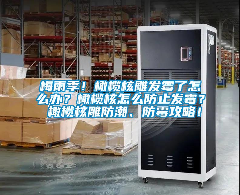 梅雨季！橄欖核雕發(fā)霉了怎么辦？橄欖核怎么防止發(fā)霉？ 橄欖核雕防潮、防霉攻略！