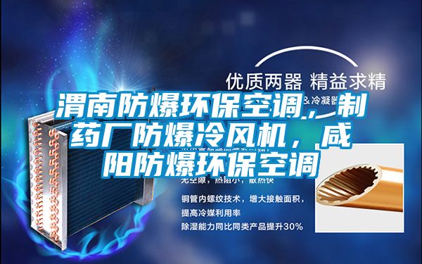 渭南防爆環(huán)?？照{(diào)，制藥廠防爆冷風(fēng)機(jī)，咸陽防爆環(huán)?？照{(diào)