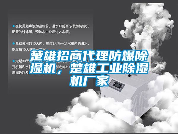 楚雄招商代理防爆除濕機，楚雄工業(yè)除濕機廠家