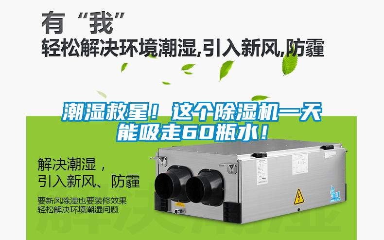 潮濕救星！這個除濕機一天能吸走60瓶水！