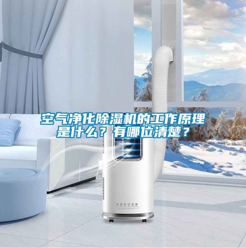 空氣凈化除濕機的工作原理是什么？有哪位清楚？