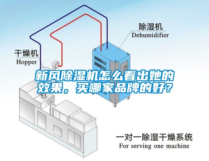 新風(fēng)除濕機(jī)怎么看出她的效果，買哪家品牌的好？