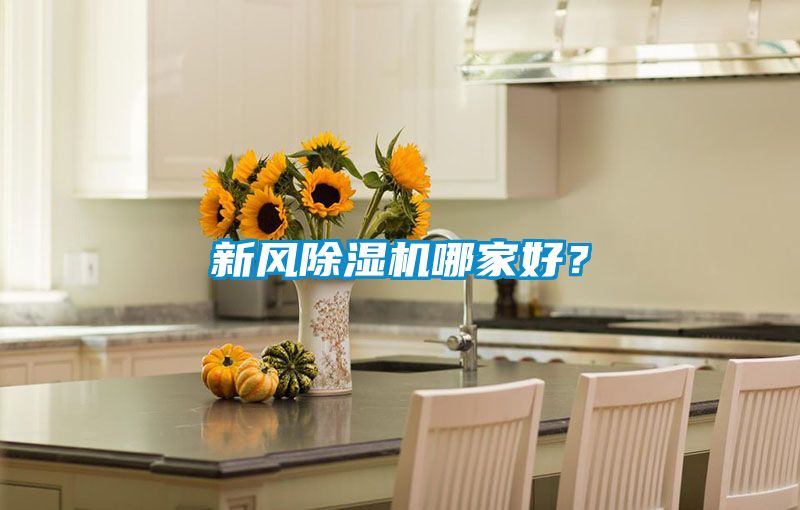 新風(fēng)除濕機(jī)哪家好？