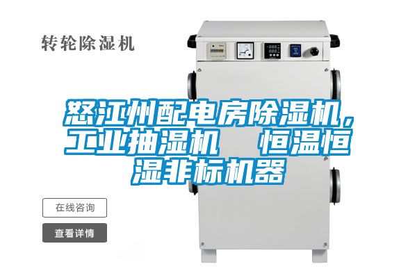 怒江州配電房除濕機，工業(yè)抽濕機  恒溫恒濕非標機器