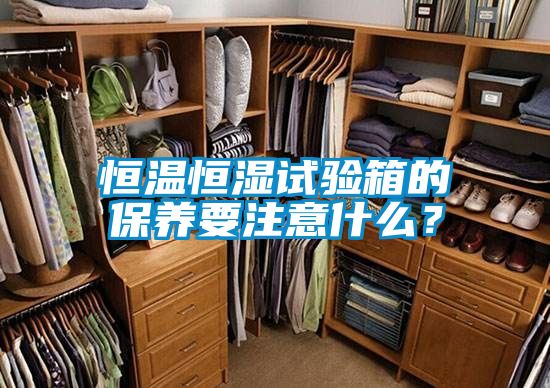 恒溫恒濕試驗箱的保養(yǎng)要注意什么？