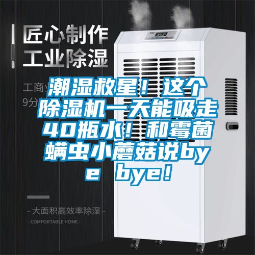 潮濕救星！這個除濕機(jī)一天能吸走40瓶水！和霉菌螨蟲小蘑菇說bye bye！