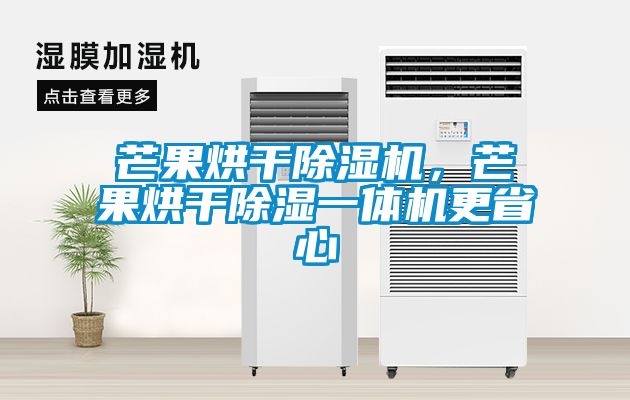 芒果烘干除濕機，芒果烘干除濕一體機更省心