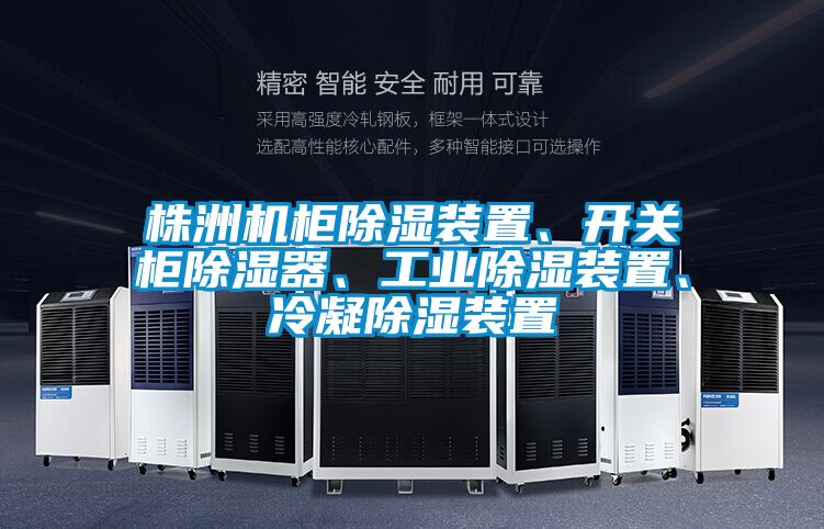 株洲機(jī)柜除濕裝置、開(kāi)關(guān)柜除濕器、工業(yè)除濕裝置、冷凝除濕裝置