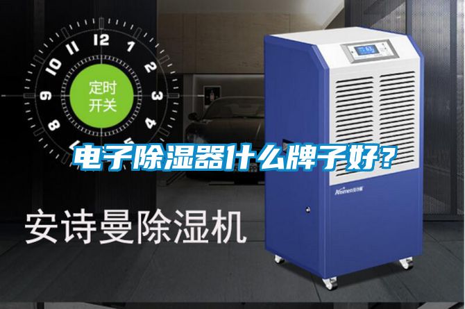 電子除濕器什么牌子好？